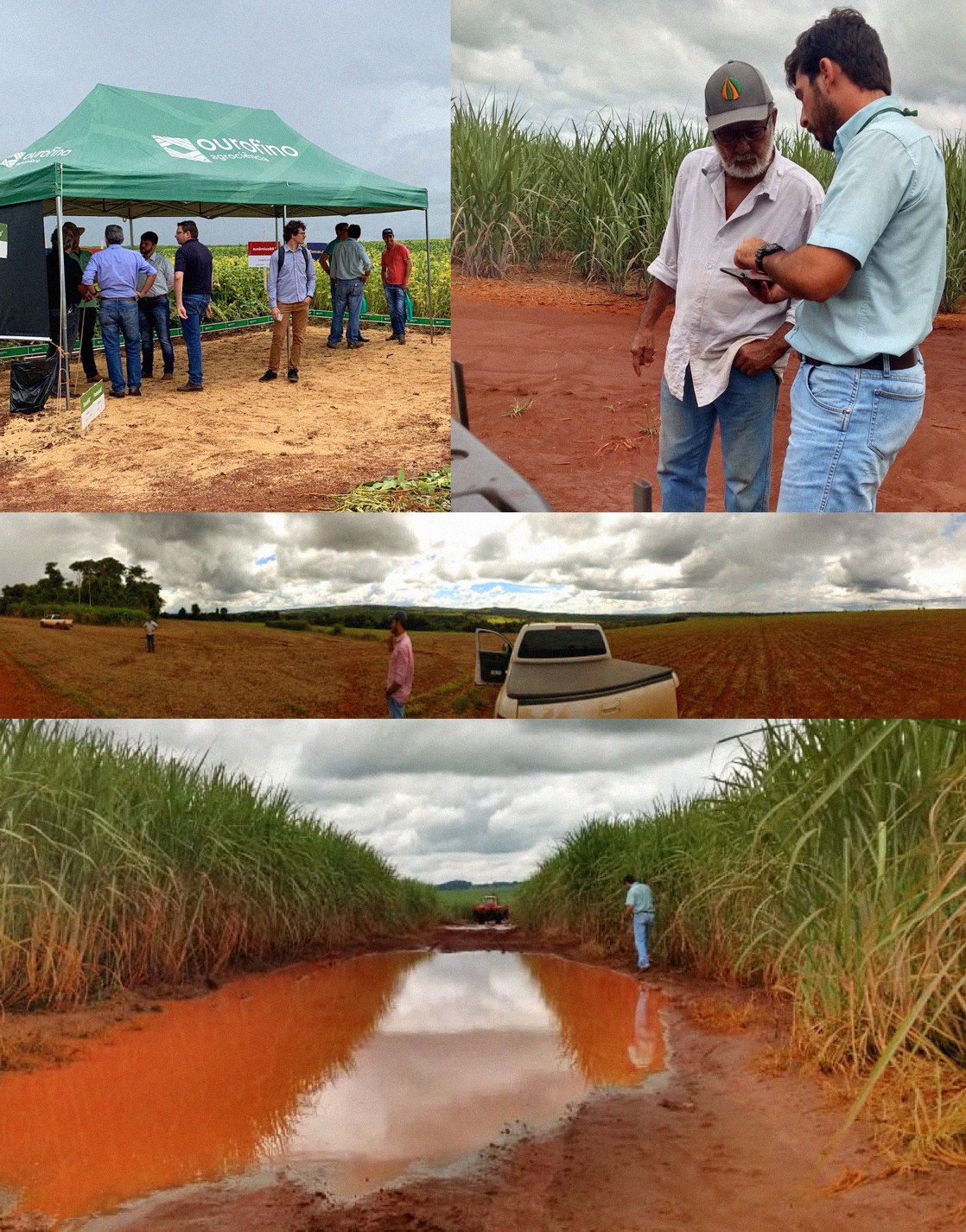 Ourofino Agrociência